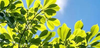 陜西省實現(xiàn)省市縣三級志愿服務聯(lián)合會全覆蓋