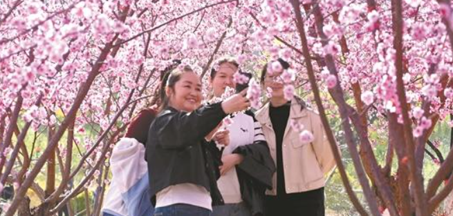 清明假期陜西消費(fèi)市場(chǎng)穩(wěn)步增長(zhǎng)