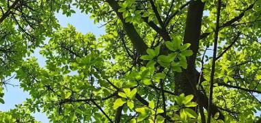 卡地亞官方維修中心新址公布 服務(wù)熱線更新