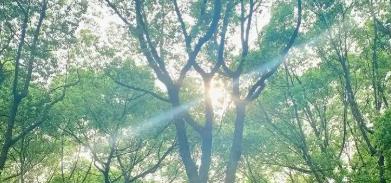 江詩丹頓全國官方維修門店地址變更 附最新網(wǎng)點(diǎn)