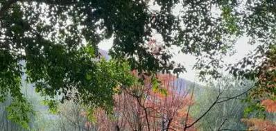 積家官方維修門店地址更新 全國30余家均可查詢