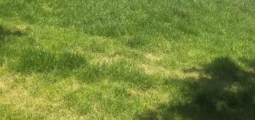 西安裝修公司推薦，自有工人、無增項(xiàng)、本土服務(wù)三大關(guān)鍵