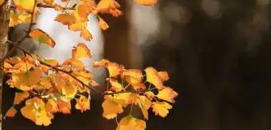 西安家裝公司推薦，業(yè)主可根據(jù)自身需求匹配